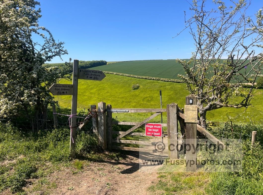 Trail gate into Horse Dale with the National Trail acorn and direction sign, showing the reliable waymarking that guides walkers along the Wolds Way.