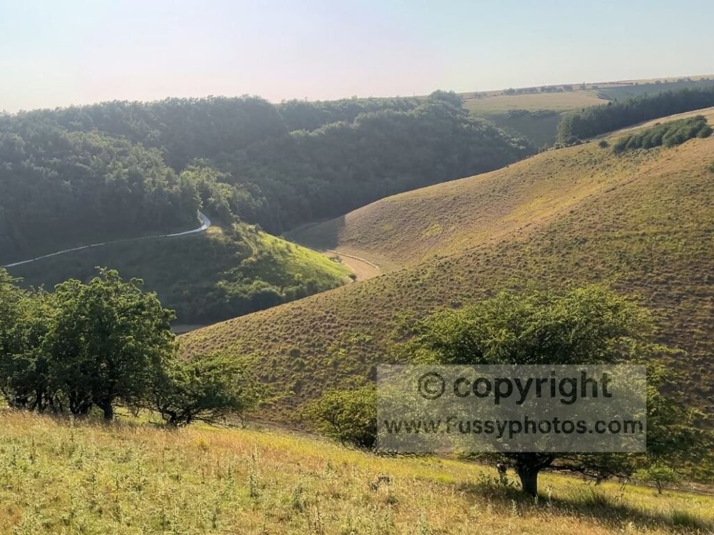 Curving dry‑valley scenery in Deep Dale showing the drop to the valley floor and the steep, switchback‑free ascent east on my Thixen Dale Loop, with farmland, cows and a conifer plantation on the approach to the Roman road.