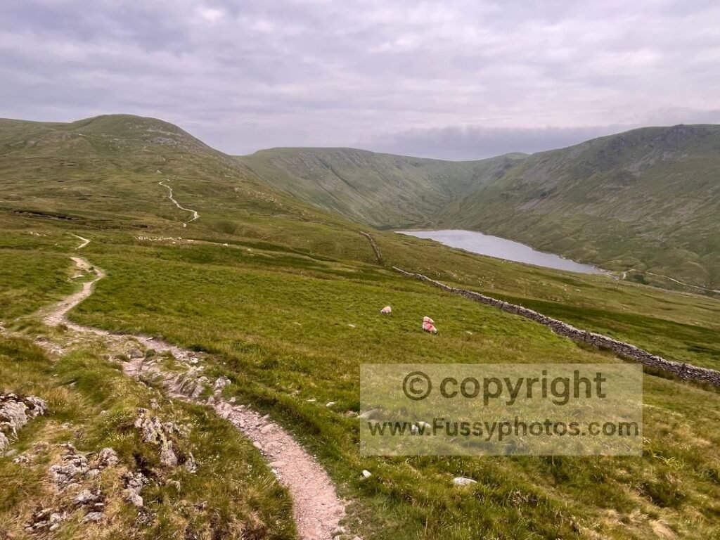 Evening view of Hayeswater on the C2C ascent from Patterdale toward Kidsty Pike.