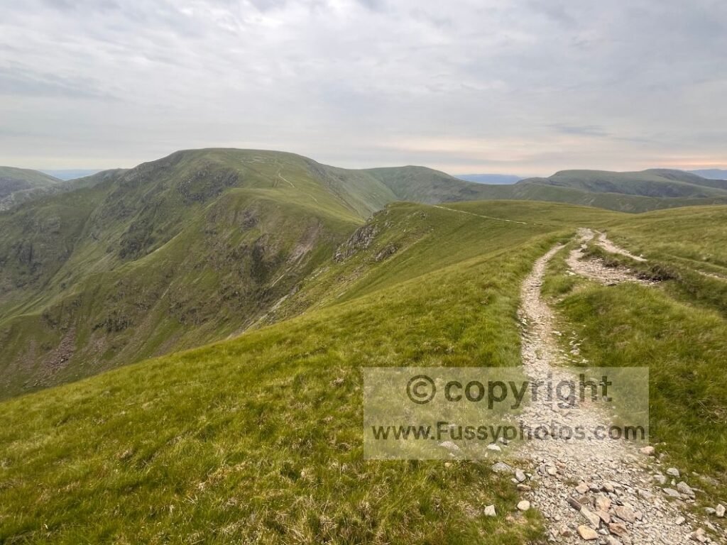 Photo of the Coast to Coast trail running along steep contours after Kidsty Pike, with multiple paths visible and High Street rising ahead.