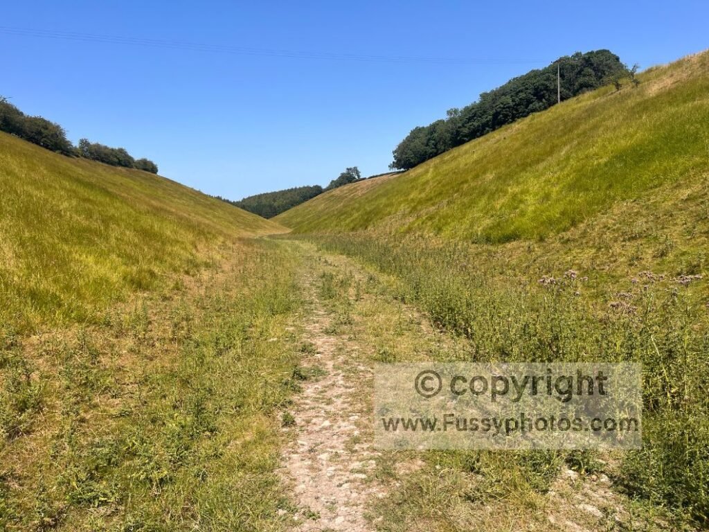 Early descent into Wayrham Dale towards Bradeham Dale, showing the narrow dry valley and distant conifer plantation at the southern end.