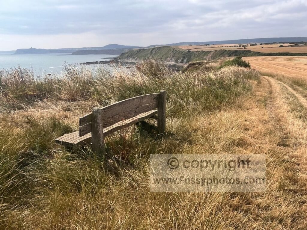 Bench viewpoint on the Cleveland Way with long coastal views towards Cromer Point, Scalby Ness, and Castle Cliff, positioned between arable farmland and the cliff edge.