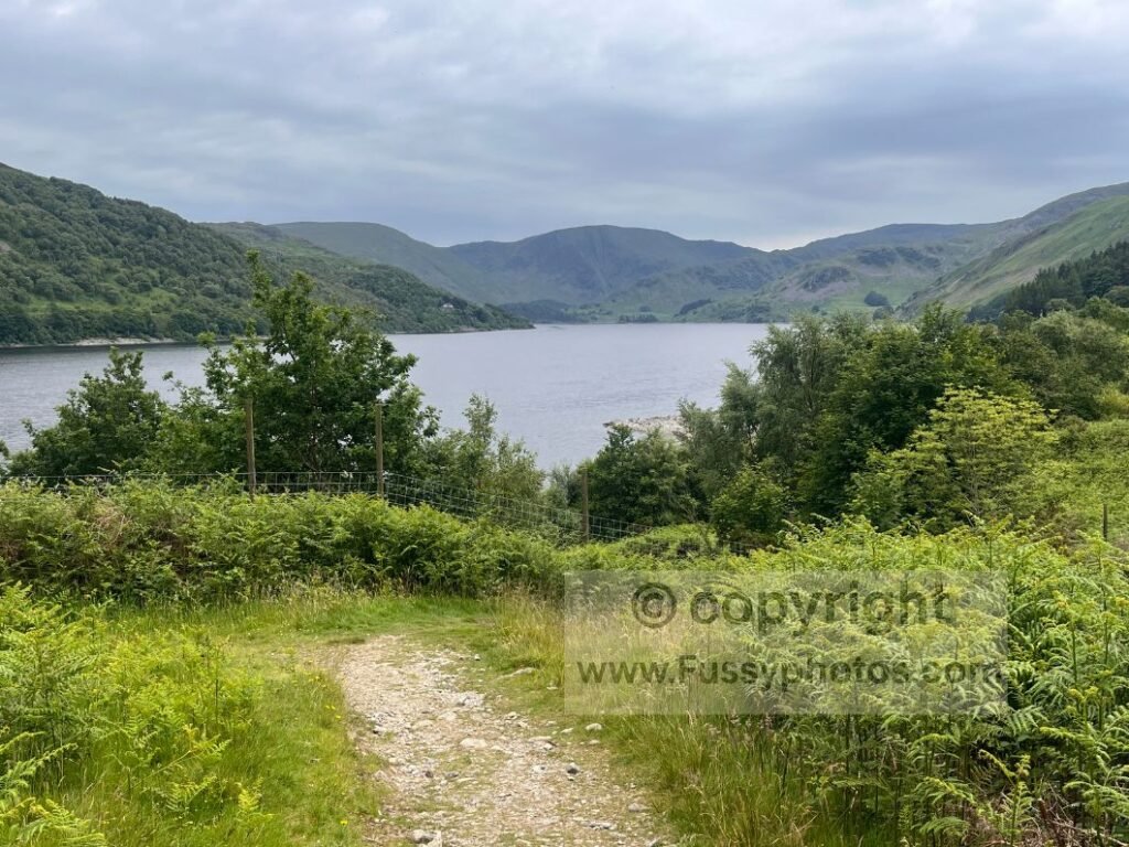 ocky path above Haweswater just after the trees fall away, taken before reaching the main viewpoint.