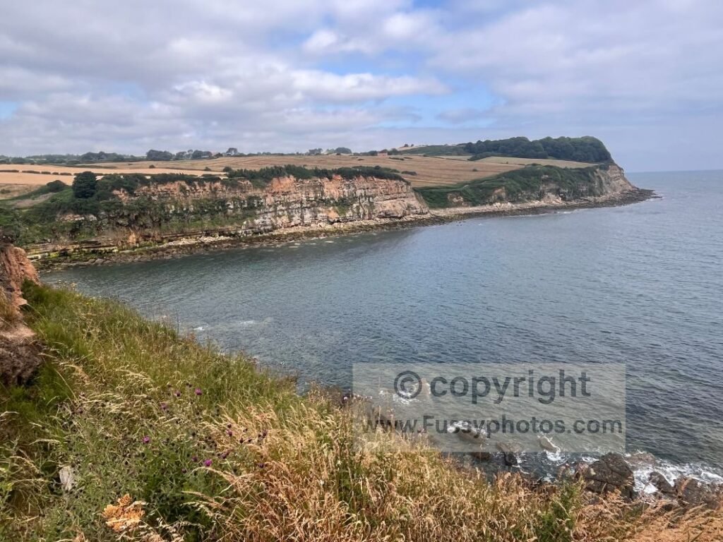 Low‑tide wave‑cut platform at Salt Pans near Cloughton Wyke, seen from the Cleveland Way as the bracken‑lined path rises and falls with the sound of the sea below.