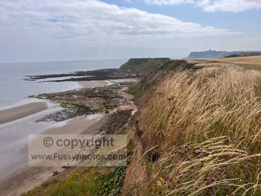 View along the cliff edge towards Scalby Ness Sands, Scalby Ness Rocks, and Scarborough, showing Scarborough Castle on the skyline beyond the coves and wave‑cut platforms of the Cleveland Way.