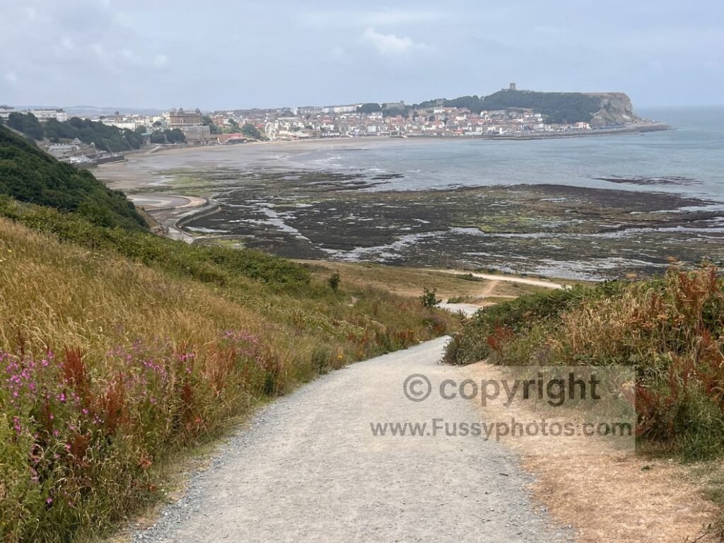 Looking back at Scarborough South Bay at low tide from the climb before White Nab, showing the wide beach, promenade and town beneath the Cleveland Way.