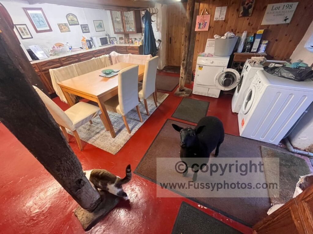 Communal kitchen at Sunbiggin Farm in Cumbria on the Coast to Coast, showing facilities that support campers on longer itineraries.