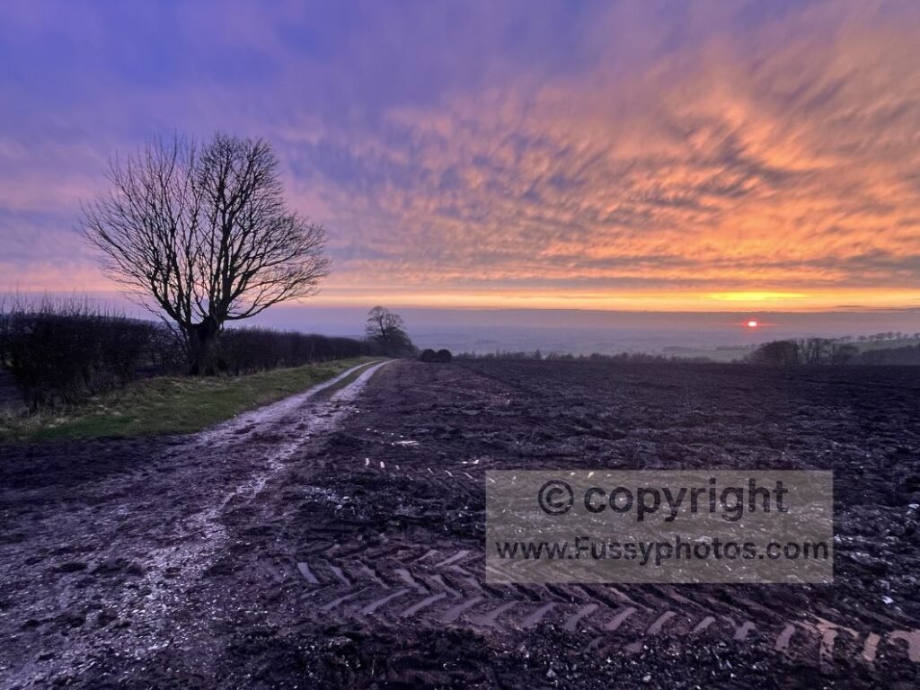Winter sunset across Open Dale on the chalk escarpment approach to Kirby Underdale, showing the rolling farmland and far‑reaching views typical of this quiet Chalkland Way section.