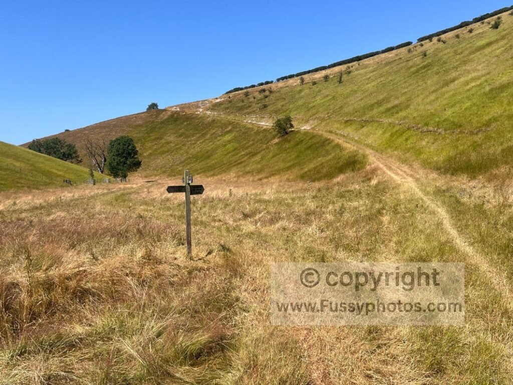 Trail junction in Thixen Dale showing the lower Yorkshire Wolds Way path heading north to Thixendale and the steeper right‑hand track rising east to Fridaythorpe.