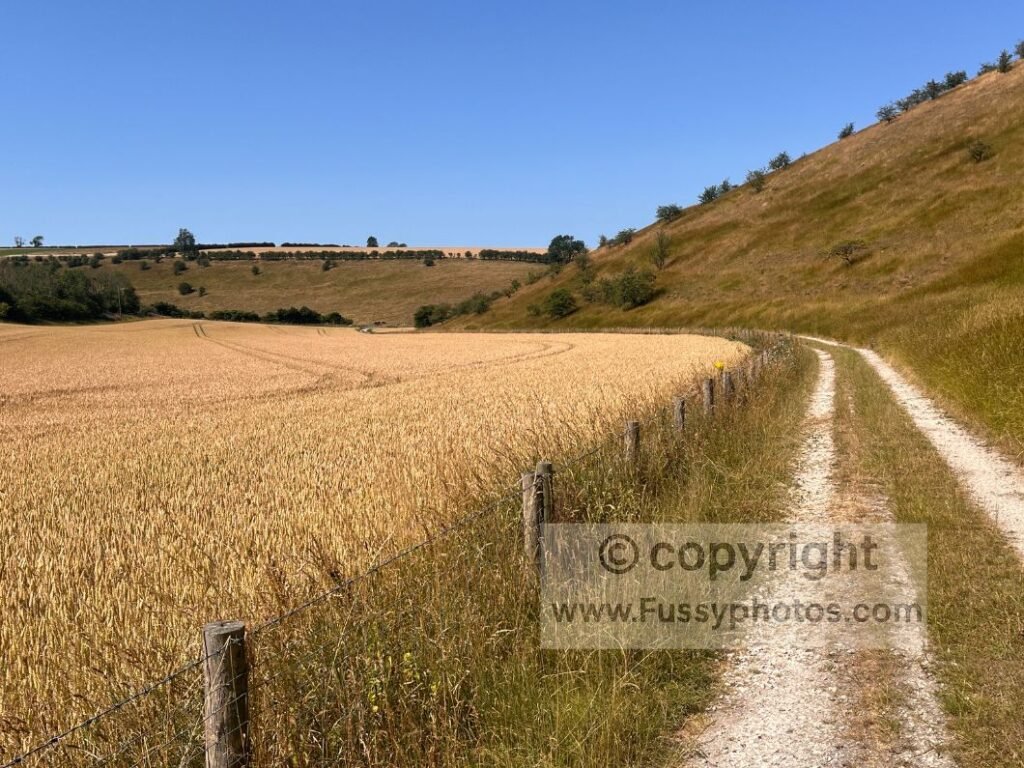 Wide farmland views in Thixen Dale as the valley broadens before the road, marking the quiet northeast turn towards Thixendale and the optional detour to the Robert Fuller Gallery.