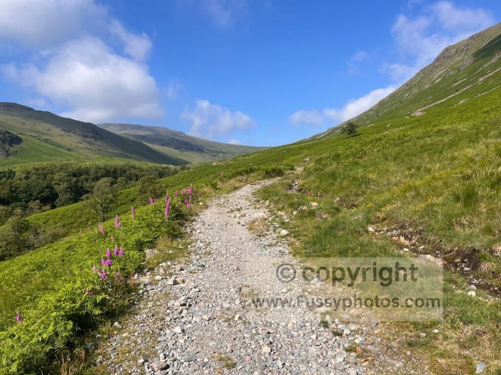 Early ascent above Borrowdale, with the Coast to Coast leaving the road and entering the wide valley that leads towards Honister Slate Mine.