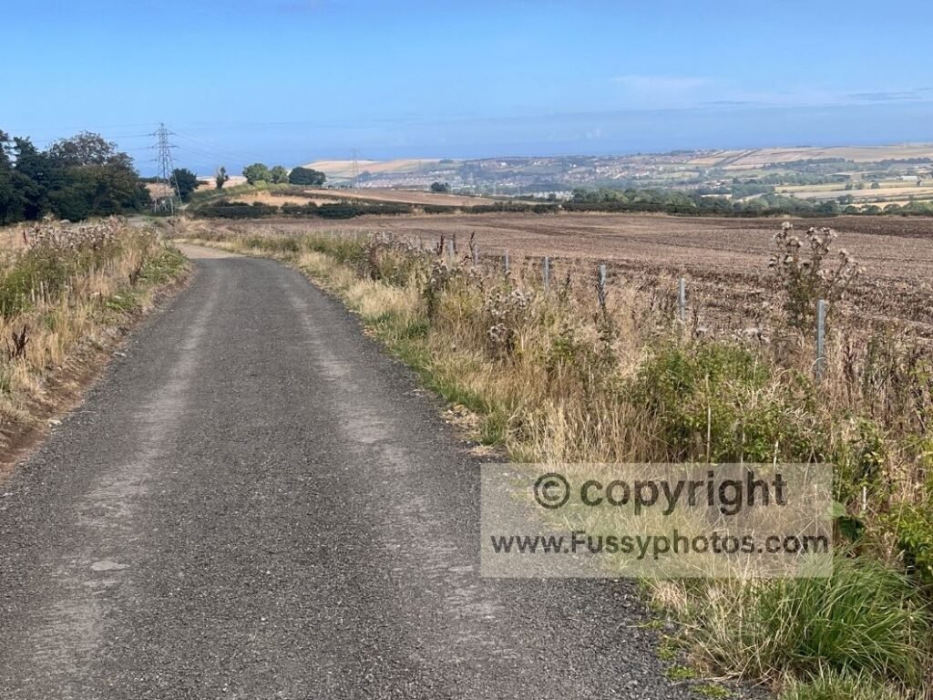 Northward view from Airy Hill Lane showing rolling hills, blue sky and the sea blending into the horizon.