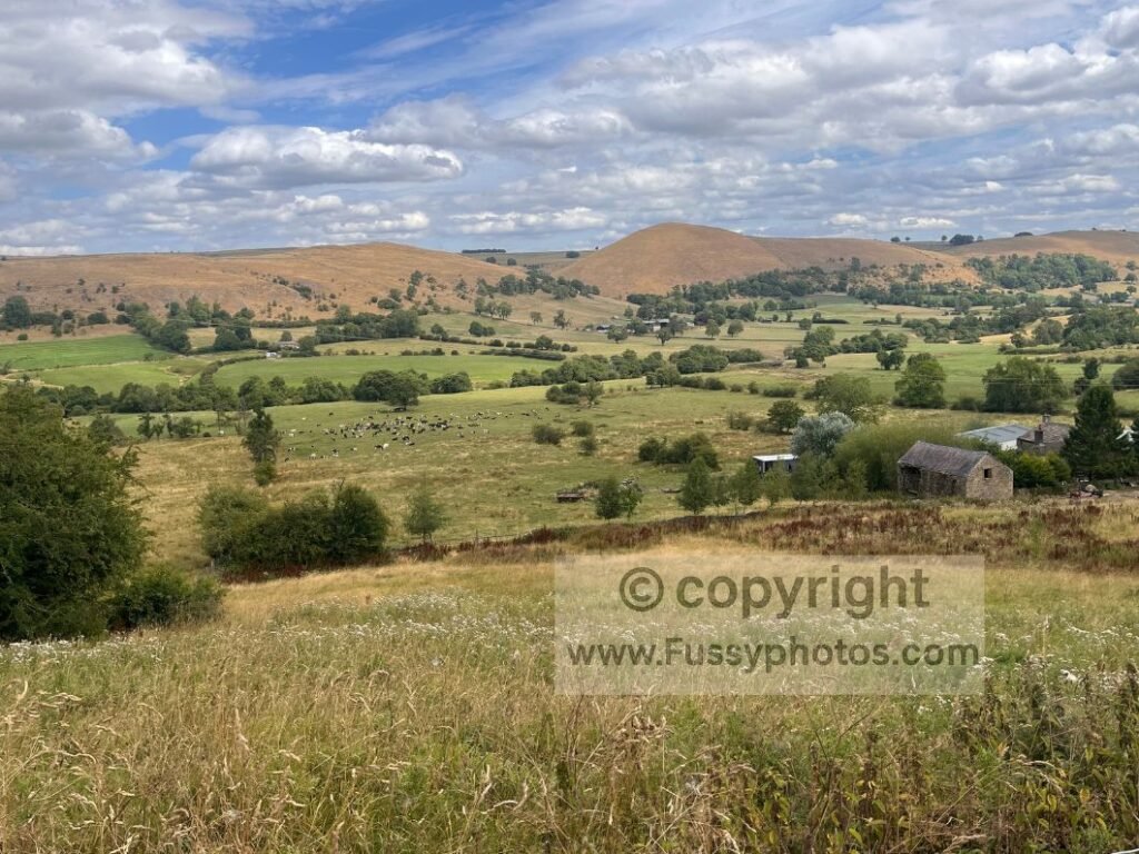 Northeast valley view on the return to Longnor, with rolling limestone hills and Parkhouse Hill in the distance.