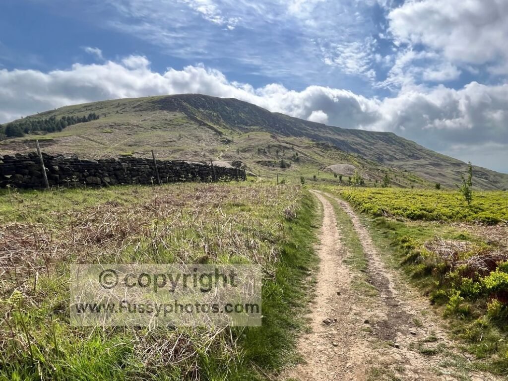 Trail rising over Charlton Bank on the C2C with big elevation ahead.