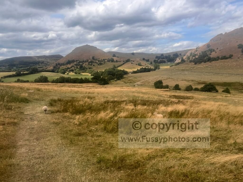 The southeast approach to Chrome Hill crosses traditional sheep-farming country, offering a first glimpse of the hill’s distinctive dome-shaped profile beyond Earl Sterndale.