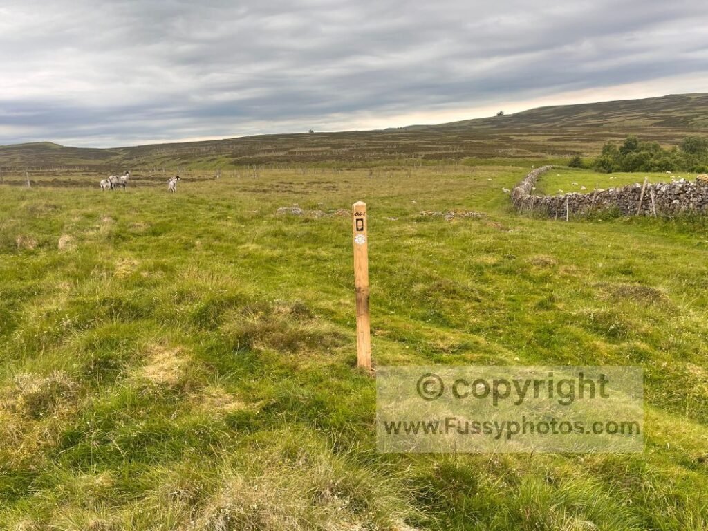 Trail sign on open moorland near Crosby Ravensworth Fell on the C2C route toward Kirkby Stephen.