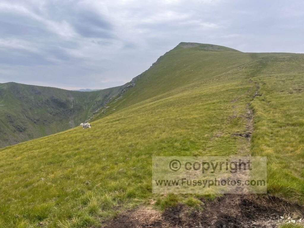 ascending Kidsty Pike in the Lake District on the Coast to Coast, showing steep terrain that affects pacing and direction choice.