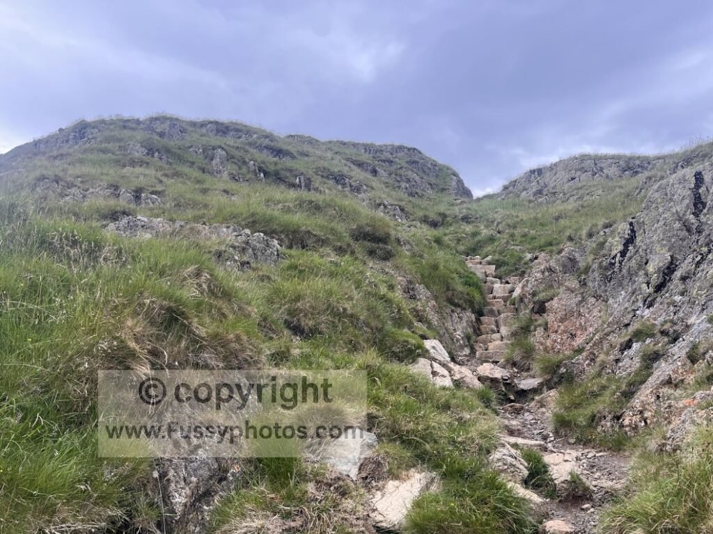 Stone steps ascending to Kidsty Howes on the steep C2C approach.
