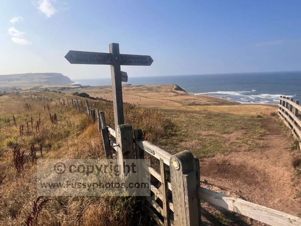 Trail sign on the Cleveland Way with a view down to Old Nab, the compact headland visible ahead along the coast.