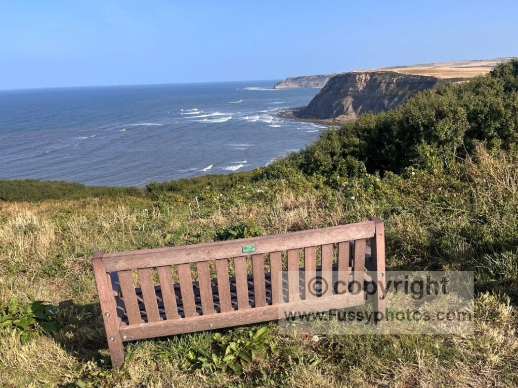 Bench below Rosedale Cliffs on the Cleveland Way, overlooking a small inlet on the approach to Staithes.