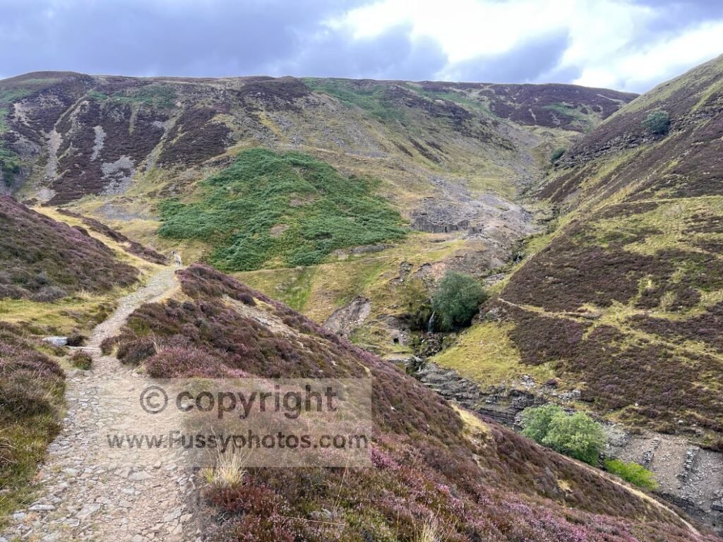 Swinner Gill high‑level — high‑level view of Swinner Gill above the River Swale.

