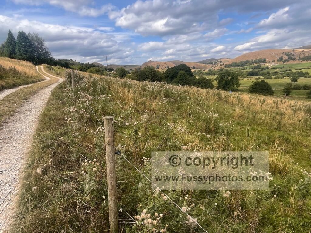 Gravel farm track heading north from Longnor across rolling farmland, with Parkhouse Hill rising on the right.

